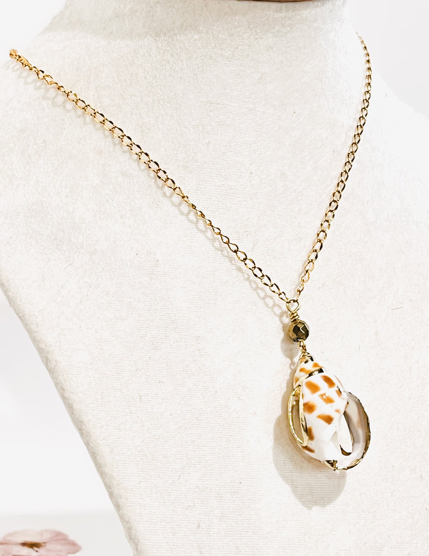 Collar en Acero Inoxidable con un Colgante de Caracol Natural - K.Beloved LLC