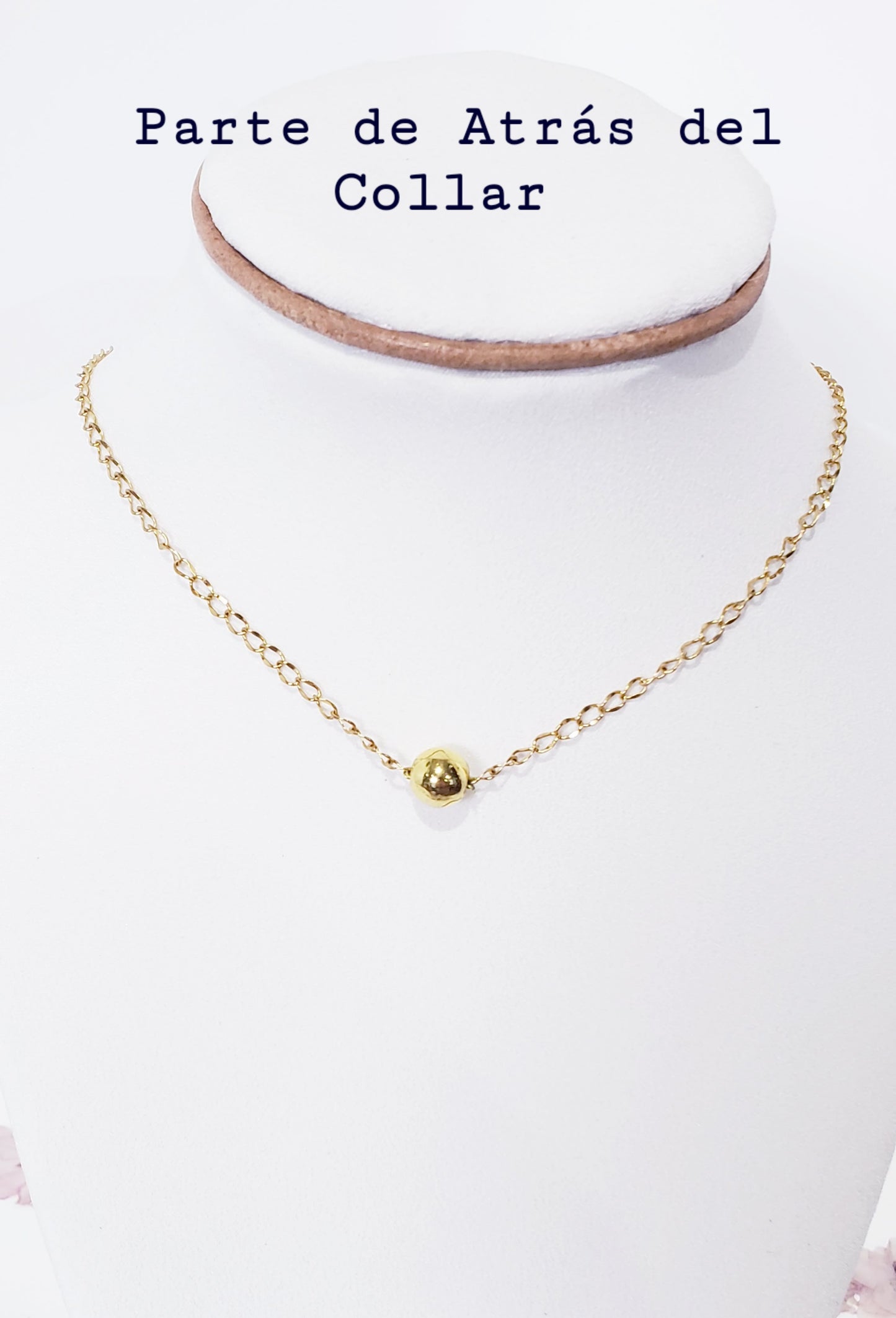 Collar con Cierre de palanca en T en de acero inoxidable, un hermoso Dije Desmontable de caracol Natural - K.Beloved LLC