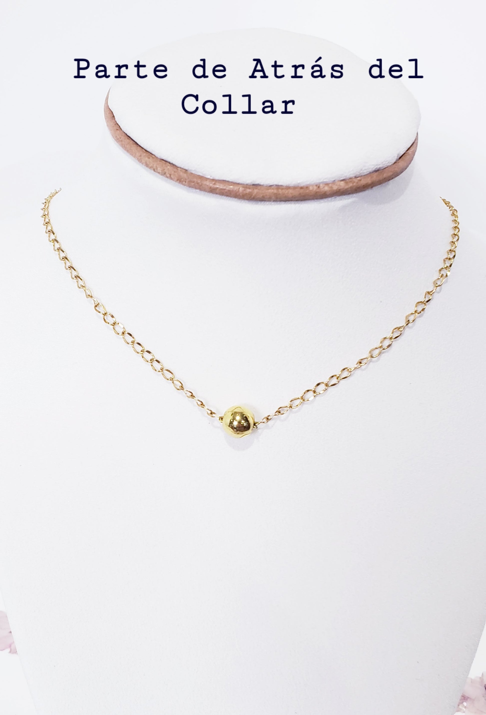 Collar con Cierre de palanca en T en de acero inoxidable, un hermoso Dije Desmontable de caracol Natural - K.Beloved LLC