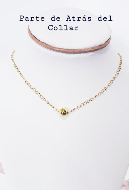 Collar con Cierre de palanca en T en de acero inoxidable, un hermoso Dije Desmontable de caracol Natural - K.Beloved LLC