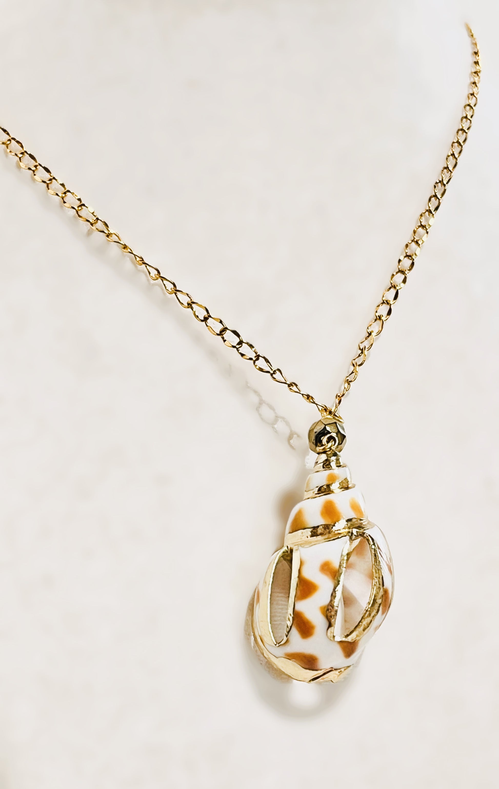 Collar en Acero Inoxidable con un Colgante de Caracol Natural - K.Beloved LLC