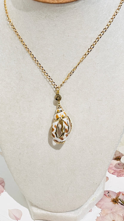 Collar en Acero Inoxidable con un Colgante de Caracol Natural - K.Beloved LLC