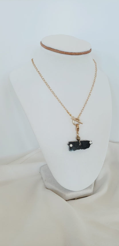 Transforma tu look al instante con nuestros collares de dijes desmontables!!!   Collar en Acero Inoxidable con Dije del Mapa De P.R. en Resina color Negro